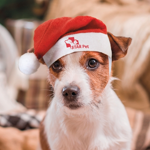 Gorro Navideño Para Mascotas Pipo — vista 2