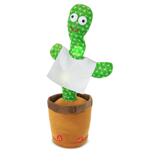 Cactus Bailarin Panchito — vista 3