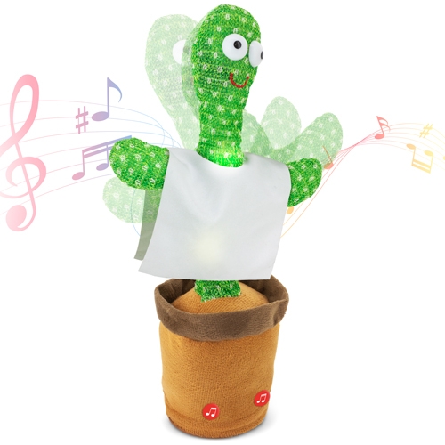 Cactus Bailarin Panchito