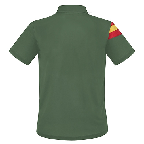 Polo Bandera Falcon — vista 5
