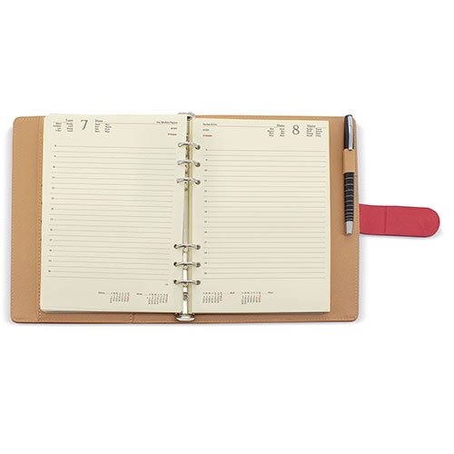 Agenda Reims Pierre Cardin D/P — vista 3