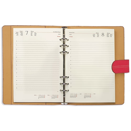 Agenda Milán Dia Pagina — vista 5
