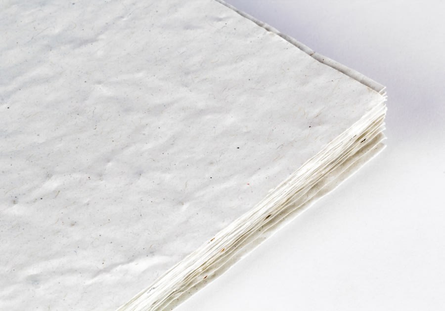 Tarjetas postales en papel con semillas