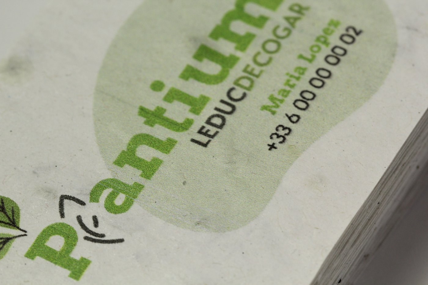 Tarjetas de visita en papel con semillas — vista 3