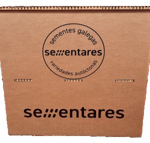 Mostrador de cartón estándar — vista 4