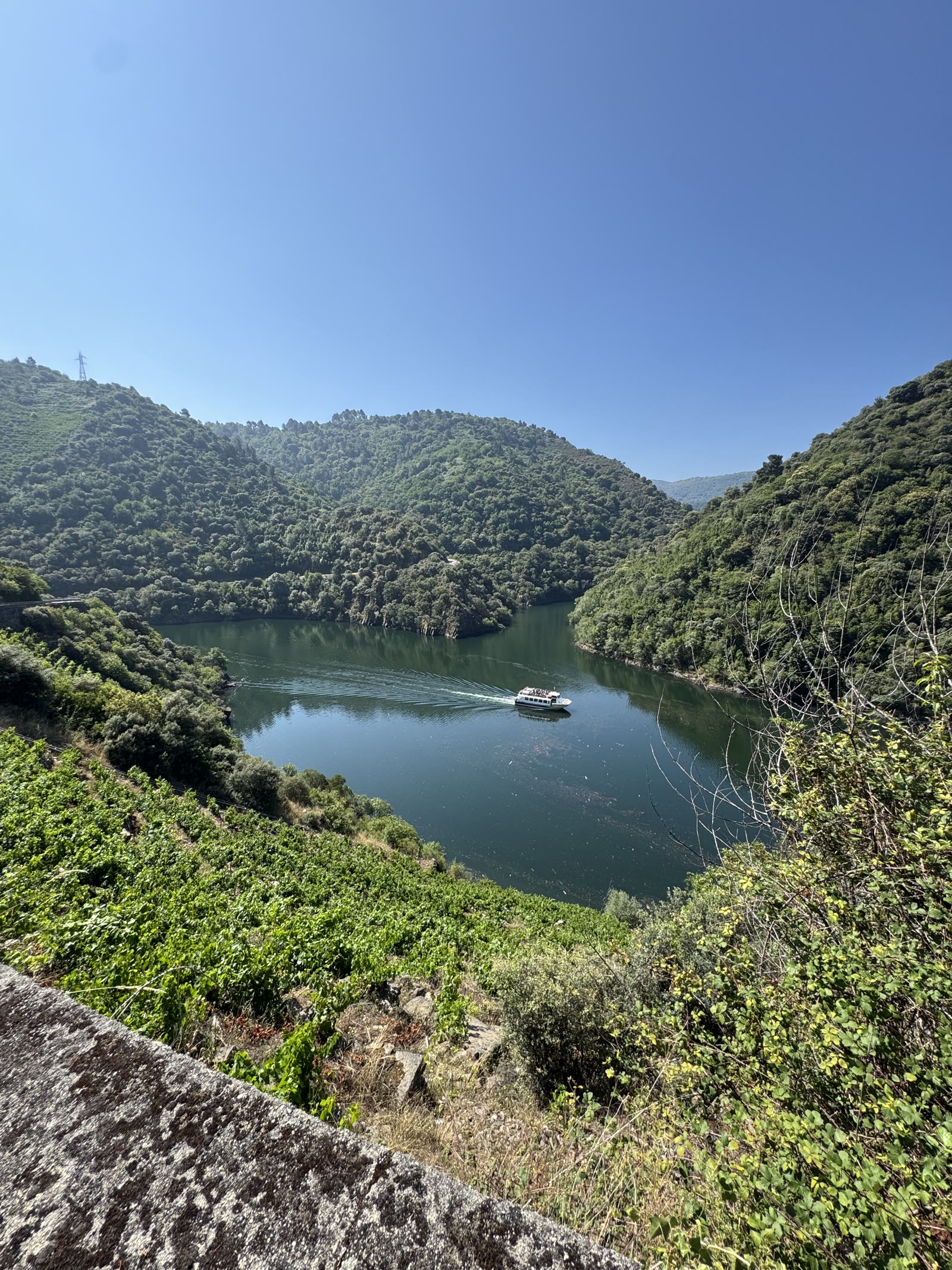 Bancales sobre el río Sil en Doade